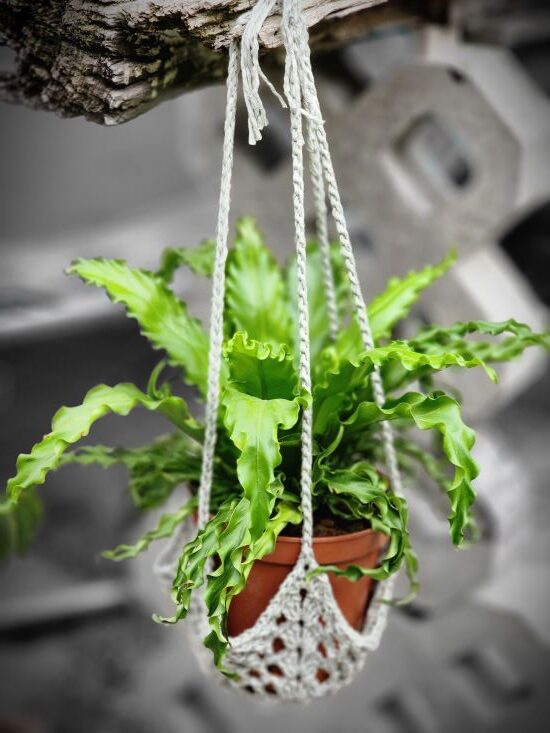 That 70’s Pot Plant Hanging Basket
